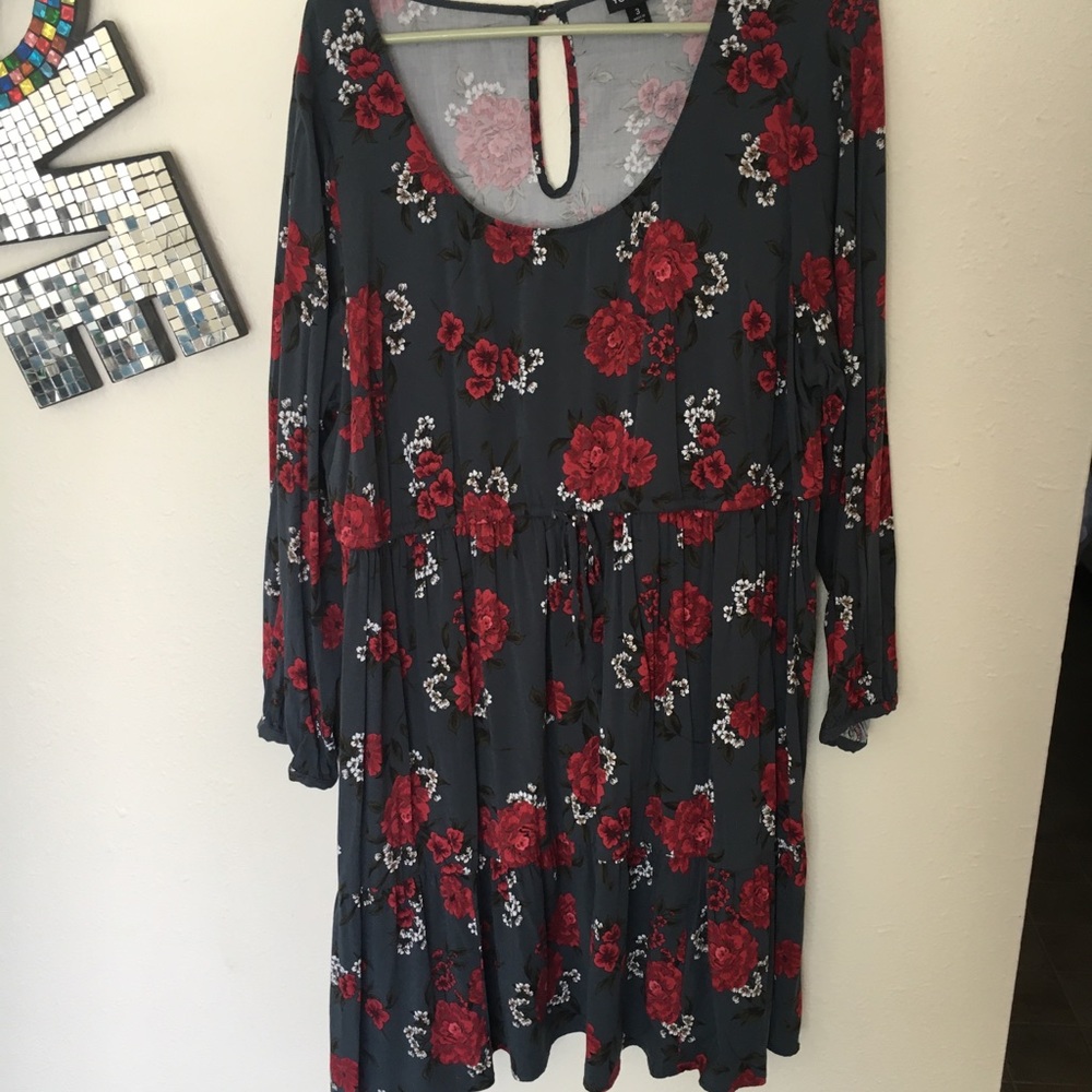 Adorable empire waist spring/fall dress. Torrid